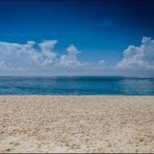 Meet your Posher, Noelle